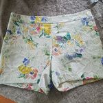Anthropologie ELEVENSES FOR ANTHO HI RISE FLORAL/CROCHETED & LACE FEMININE SHORTS Photo 1