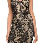 Ambition Servin' Sugar Lace Overlay Mini Dress Black Size Large NWT Photo 0