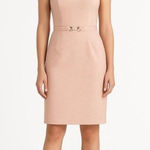 Antonio Melani  Strapless Sheath Dress Pink Textured Metallic Belted Size 10 Photo 0