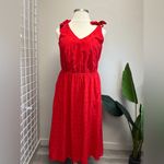 Lane Bryant  Eyelet Lace Midi Dress - New - Size 16 Photo 3