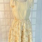 Anthropologie A’Reve vintage ivory blush 3D floral textured dress size large Photo 0