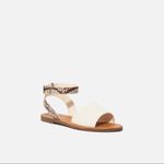 JustFab ✨ Cleo Flat Sandal✨ Photo 4