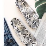 Ccocci Clear Strap Snake Print Slide Sandals  Photo 2