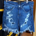 Judy Blue  High Rise Patch Destroyed Woman’s Denim Shorts Size 1XL Photo 0