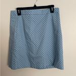 ZARA  blue with green polka dots skirt XL and NWT! Photo 0