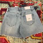 Vervet  Denim Shorts Photo 1