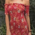 Zimmermann NWT  Corsair Shirred Flutter Mini Dress US Sz. 6 (AU 1) Photo 0