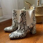 Circus by Sam Edelman Snake Skin Boots Photo 2