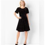 Talbots RSVP by Black Velvet Sequin Dress Size 4P Party Cocktail Dinner Holiday Photo 1