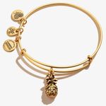 ALEX AND ANI Alix & Ani Rafaelian Gold Pineapple Charm Bracelet 4 Charms Sold Out Online Photo 0