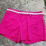Stylus Pink Chino Shorts Size 24 Photo 4