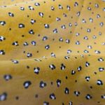 Madewell New！ Bandana‎ Photo 6