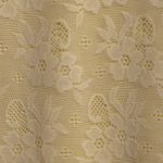 ANDIE  Nemale One Piece Limeade Floral Lace Swimwear Bathing Suit Size XL New Photo 2