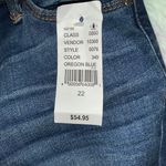 PacSun Medium Distressed Jeggings Photo 4