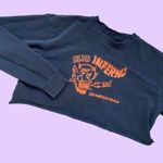 Brandy Melville John Galt dark gray ‘club inferno’ long sleeve crop top Photo 1