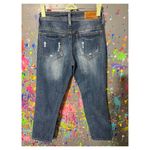 Dollhouse Crop Photo 5