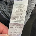 Democracy  size 12 Skinny jeans denim stretch elastic waist casual rocker concert Photo 3