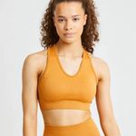 ABYL Balance V2 Seamless Sports Bra in Spiced Orange Size Large Photo 0