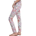 Anthropologie Floral Cottagecore Garden Pilcro Mid-Rise Skinny Jeans W-210 Sz 27 Photo 2