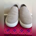 Tory Burch Jesse Slip on Sneaker Suede French Gray Shoes Flats Size 5 Photo 2