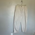 Talbots Chatham Fly Front Ankle Pants - Solid - Curvy Fit Beige XL Size 12 Photo 3