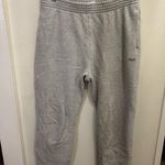 Aritzia  Sweatpants Cozy Fleece Perfect Grey Photo 0