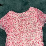 Pookie & Sebastian Top Photo 5