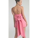 Showpo Shaima Strapless Bow Crop Top NWT Sz. 4 Pink Photo 2