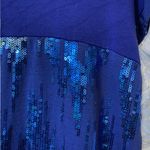 Chris & Carol Royal Blue Sequin Accent Blouse Photo 2