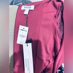 EXPRESS  edition Women’s dress size small new burgundy color puffy long sleeve Photo 4