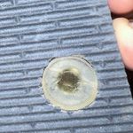 Vera Bradley Like new Vera‎ Bradley sandal size 7-8 Photo 3