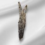 Chaser  Snake Print Overalls nwt Photo 3