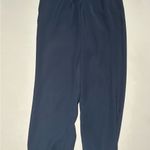 Lululemon NWOT On The Fly Jogger Pants Navy Size 2 Photo 1