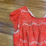 Maeve  Katrine Coral Lace Peplum Top Flutter Sleeve V Neck Back Zip Women's Small Photo 1
