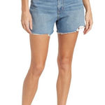 Madewell  Mom Jean Short in Streamside Wash‎ Size 27 Photo 0