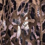 Super cute leopard Photo 3