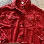 Main Strip Boutique brand corduroy cropped jacket size L Photo 0