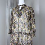 Rewind Sheer Multicolored Drop Waist Long Sleeve Knee Length Dress Photo 2