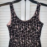 Disney Pink And Black Lace Dress Photo 1