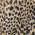 Dainty Hooligan đź’•DAINTY HOOLOHANđź’• Long Sleeve Leopard Print Romper Large L NWOT Photo 4