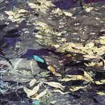 Peruvian Connection  Water Color Pima Cotton Top Small Photo 2