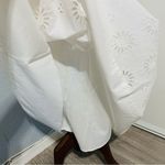 ZARA New High Waisted White Bohemian Embroidered Eyelet Lined Midi Skirt Size M Photo 12