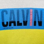 Calvin Klein  Jeans Striped Logo Sweatshirt Photo 3