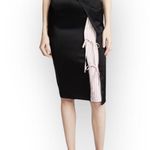 Alexander Wang new T by  ᯾ Draped Satin Skirt ᯾ Stripe Lining ᯾ Wrap Silhouette Photo 1