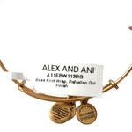 ALEX AND ANI NWT  Endless Knot Rafaelian Good Finisj Bracelet Photo 2