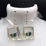 Beautiful Tropical Fish Earrings Photo 0