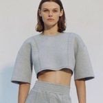 ZARA  Oversized Boxy Plush Crop Top 1/2 Short Sleeves Back Zipper S Grey #3161 Photo 0