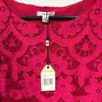 Sophie Max  Lace Sleeveless Shift Dress - Pink Size L NWT Photo 6