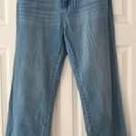 TCL Ethical Denim with Indigo Accents‎ NWOT Size 31 Blue Photo 0