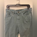 Orvis Womens  Fishing Gray Blue Twill High Rise Straight Ankle Pants SZ 10 Photo 1